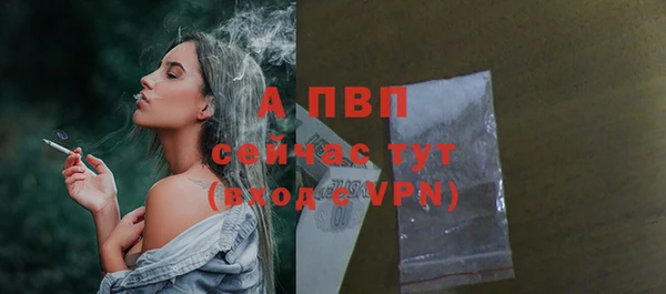 хмурый Богородск