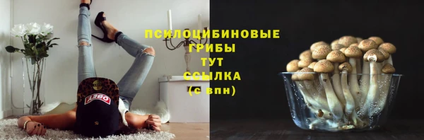 экстази Богородицк