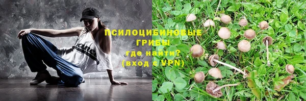 экстази Богородицк