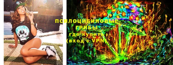 экстази Богородицк